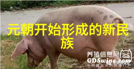 元朝皇帝死了葬在哪里蒙古的丧葬习俗是怎么样的